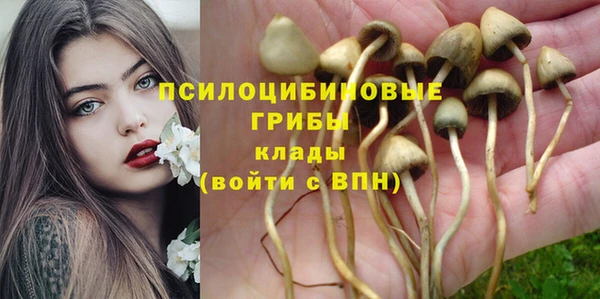 соль курить ск Наволоки