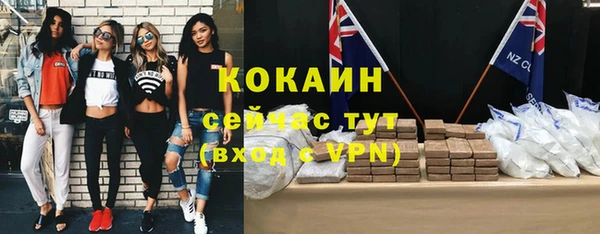 индика Навашино