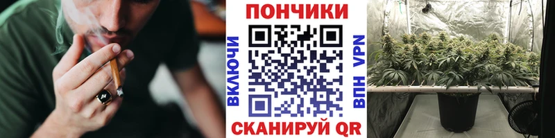 Марихуана Bruce Banner  MEGA ССЫЛКА  Приморско-Ахтарск 